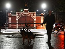 Погибшего в Казани пожарного наградили посмертно
