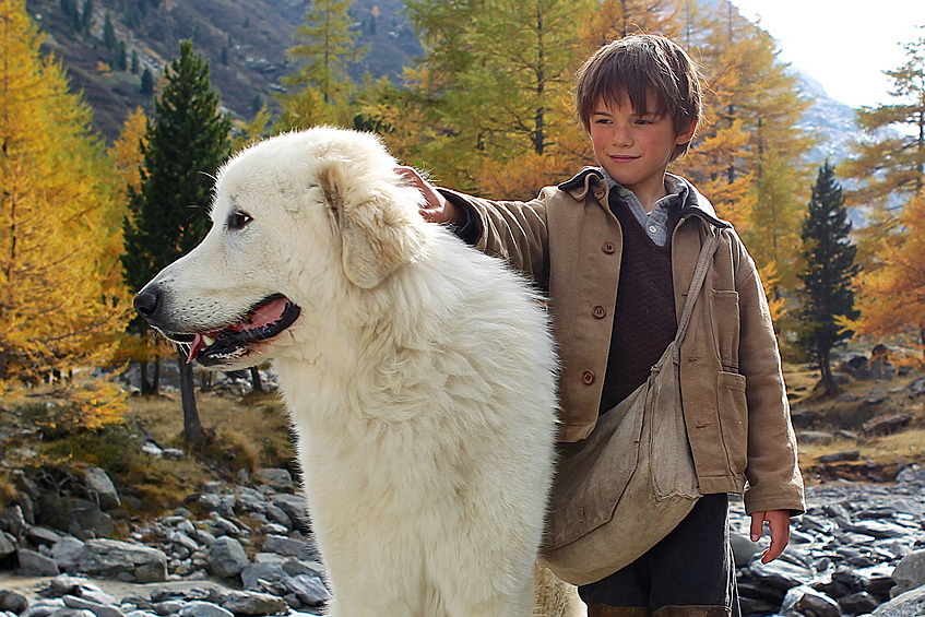«Белль и Себастьян» (2013). Сирота Себастьян выясняет, что мистический зверь, который ворует местных овец, — это дружелюбная собака Белль.