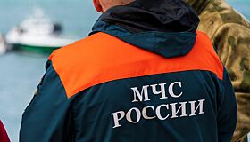 В МЧС прокомментировали крупный пожар в Крыму