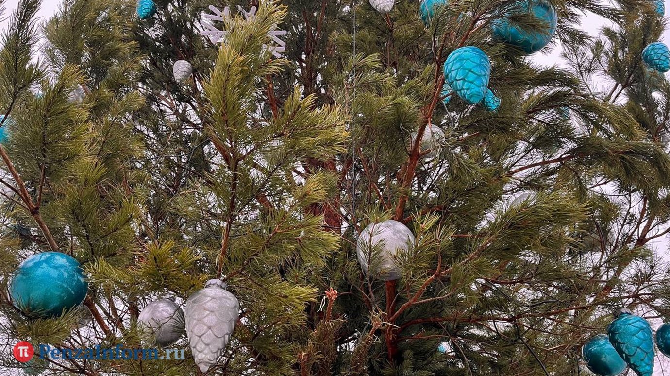 На демонтаж елки на Соборной площади потратят более 200 000 руб.