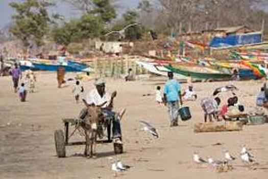 В Гамбии после введения режима ЧП эвакуируют туристов