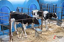 По инициативе «Единой России» в Вологодской области увеличена господдержка производителей молока