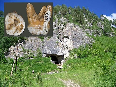 Ученые ИАЭТ выявили, что Денисова пещера на Алтае в голоцене была заселена летучими мышами