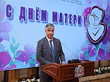 Алексей Логвиненко вручил награды многодетным матерям Ростова