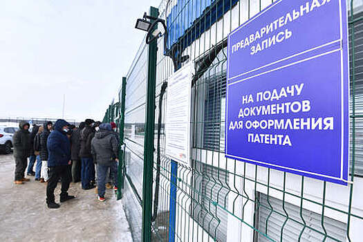 МВД: в 2024 году в Россию прибыли более 6 миллионов мигрантов