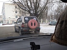 По улицам Твери ездит "автосвин"