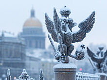 Петербуржцам пообещали новую снежную бурю
