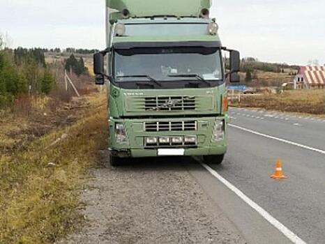 В Прикамье сотрудник угрозыска остановил несущуюся фуру с мертвым водителем