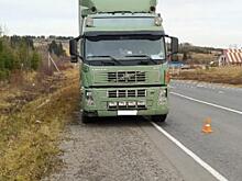 В Прикамье сотрудник угрозыска остановил несущуюся фуру с мертвым водителем