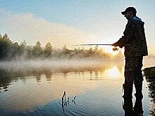 Разрешить ловить лосось  и тут же отпускать добычу предложил депутат Борис Гладких