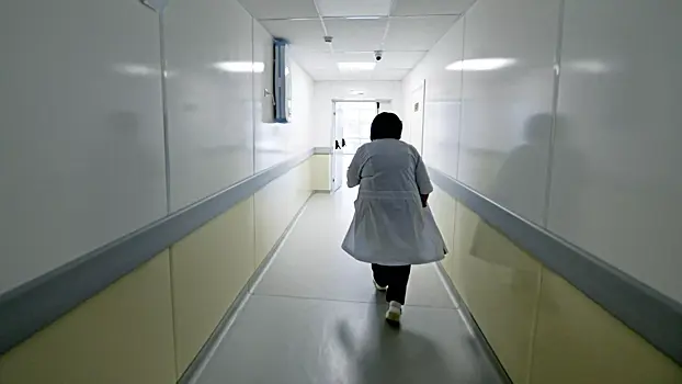 Карантин по бешенству животных введен в российском областном центре