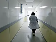 Карантин по бешенству животных введен в российском областном центре