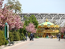 В волгоградском ЦПКиО назвали новые проекты озеленения и ландшафта