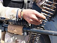 «Серые волки» Эрдогана выбирают базу у границы с Крымом