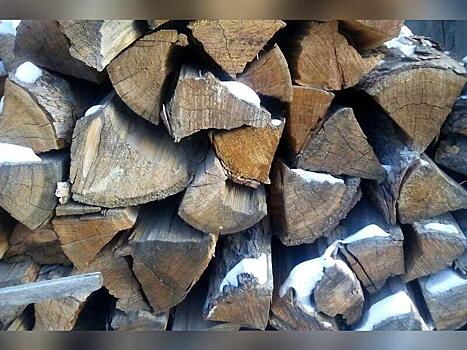 Немков - «Нашими дровами начало торговать местное население, перепродавать»