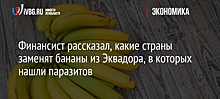 Финансист рассказал, какие страны заменят бананы из Эквадора, в которых нашли паразитов