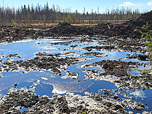 В РФ разработали биотехнологию очистки нефтезагрязненных почв с помощью червей