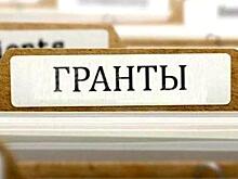 16 проектов НКО будут реализованы в этом году в Вологде на средства городского гранта