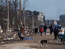 Председатель РВИО: около тысячи памятников разрушены в Донбассе