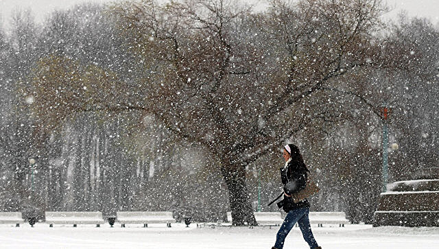В Петербурге выпал снег