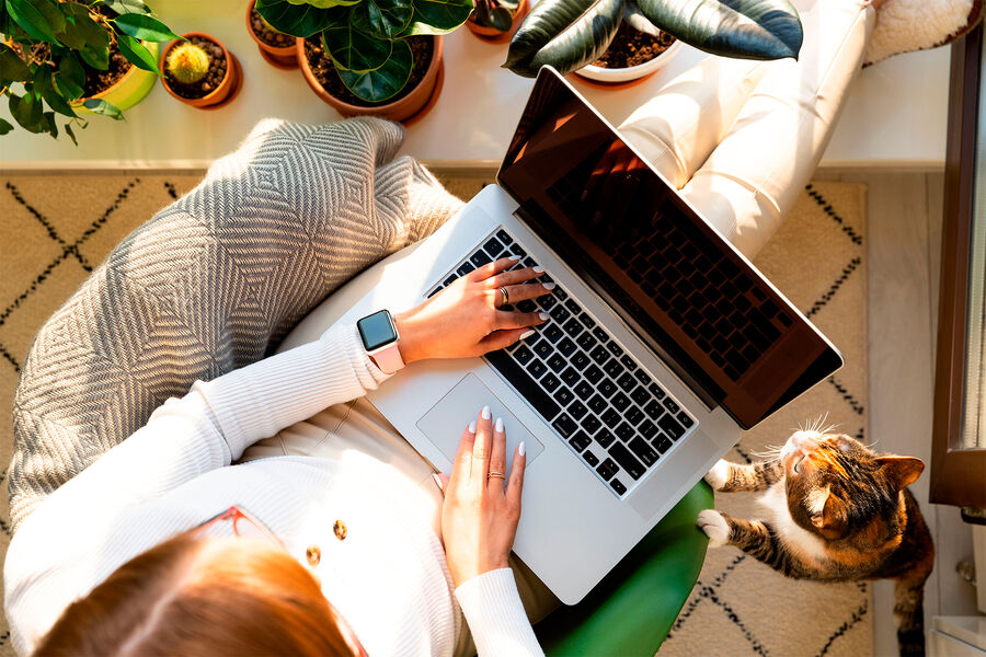 В Госдуме допустили перевод работников на удаленку из-за гриппа