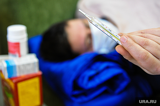 Профессор Альтштейн: после COVID-19 человечеству грозит смертельная мутация вируса гриппа