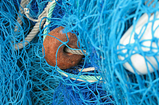 Бороться с браконьерами помогут постоянные рейды на водоемах