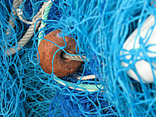 Бороться с браконьерами помогут постоянные рейды на водоемах