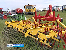 Большой фермерский фестиваль «Балтийское поле» стартует уже завтра
