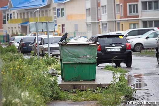 Омичей приучат не сжигать мусор в печать, а доносить до контейнеров