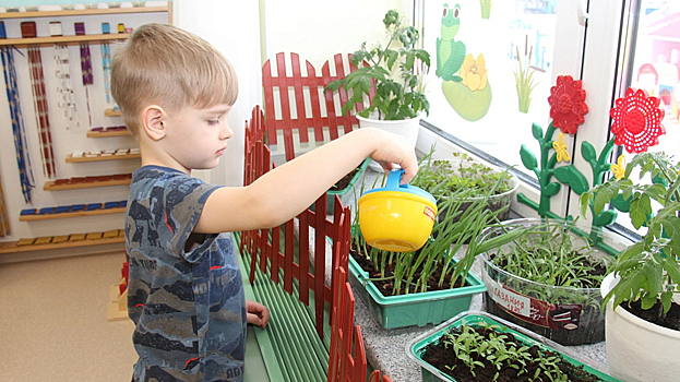 На Ямале юные северяне в детских садах выращивают на подоконниках овощи, ягоды и цветы. ВИДЕО
