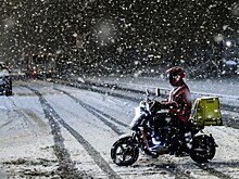 В Подмосковье заметили курьеров, перевозящих детей в сумках