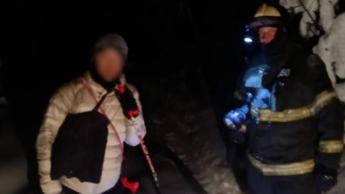 Спасатели нашли в Подмосковье лыжника, заблудившегося в лесу