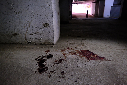 Многодетная мать-бомж из Кузбасса совершила кровавое убийство в подъезде