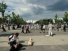 Москвичам пообещали до 30 градусов тепла и дожди в начале июня