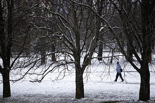 Климатолог рассказал, какими будут январь и февраль в Калининграде