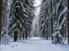 В Якутии временно ограничат доступ жителей в леса