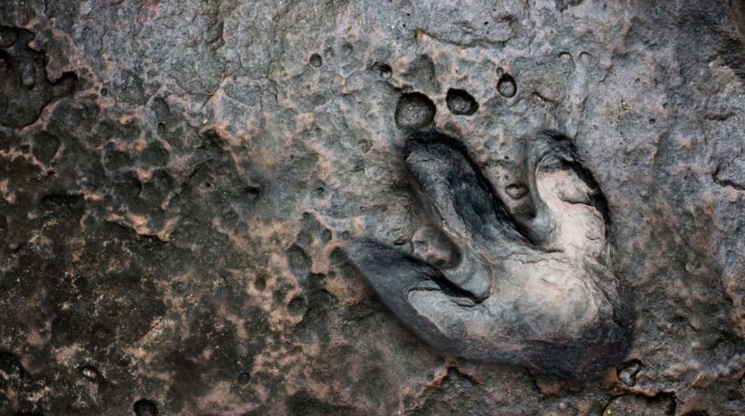 Repubblica: следы 200-миллионолетних динозавров обнаружили в Альпах