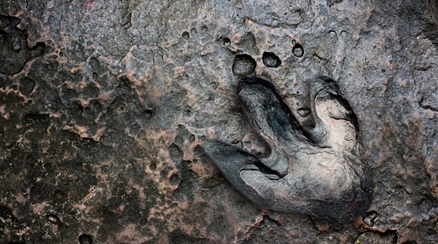 Обнаружены следы динозавров возрастом 200 млн лет