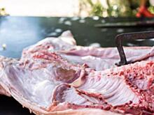 Ключевые тренды и перспективы развития внешних отгрузок российской свинины в 2025 году представили эксперты