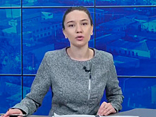 Насекомое ворвалось в студию российского канала и прервало эфир