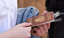 Почти 70 тысяч россиян получили гражданство или вид на жительство других стран