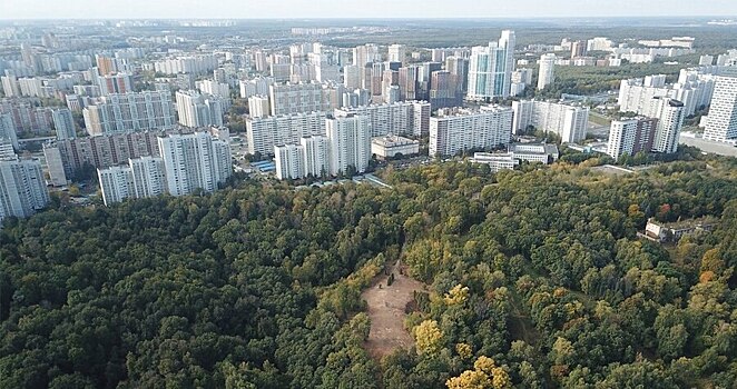 Что из жилья можно купить в районе Филевский Парк? Держим «совет в Филях»