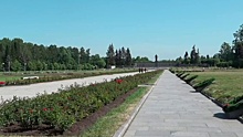 На Пискаревском кладбище в Санкт-Петербурге началась траурная церемония в честь Дня памяти и скорби