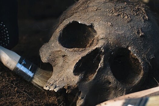 В Китае найден крупнейший череп древнего человека