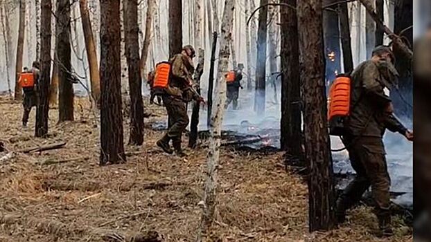 Пожарные десантники в Тюменской области спаслись от огня в реке