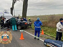 В Зеленоградском районе легковушка врезалась в дерево, один человек погиб, трое получили травмы