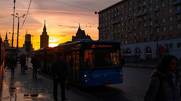 В метро и автобусах начнут показывать видеоролики о цифровой безопасности