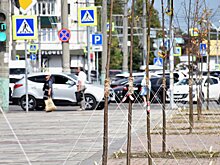 Администрация Пензы ответила на критику посадки лип у цирка
