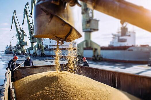 В сентябре Россия снизила экспорт зерна на 28%